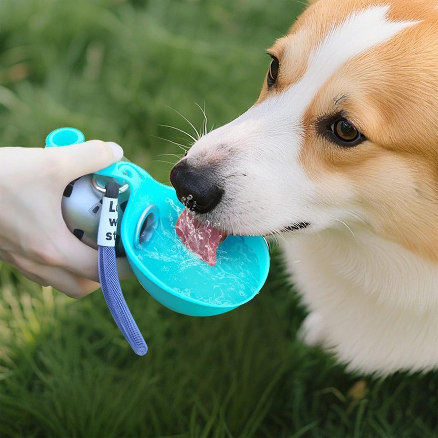 Portable Outdoor Pet Stainless Steel Water Cup