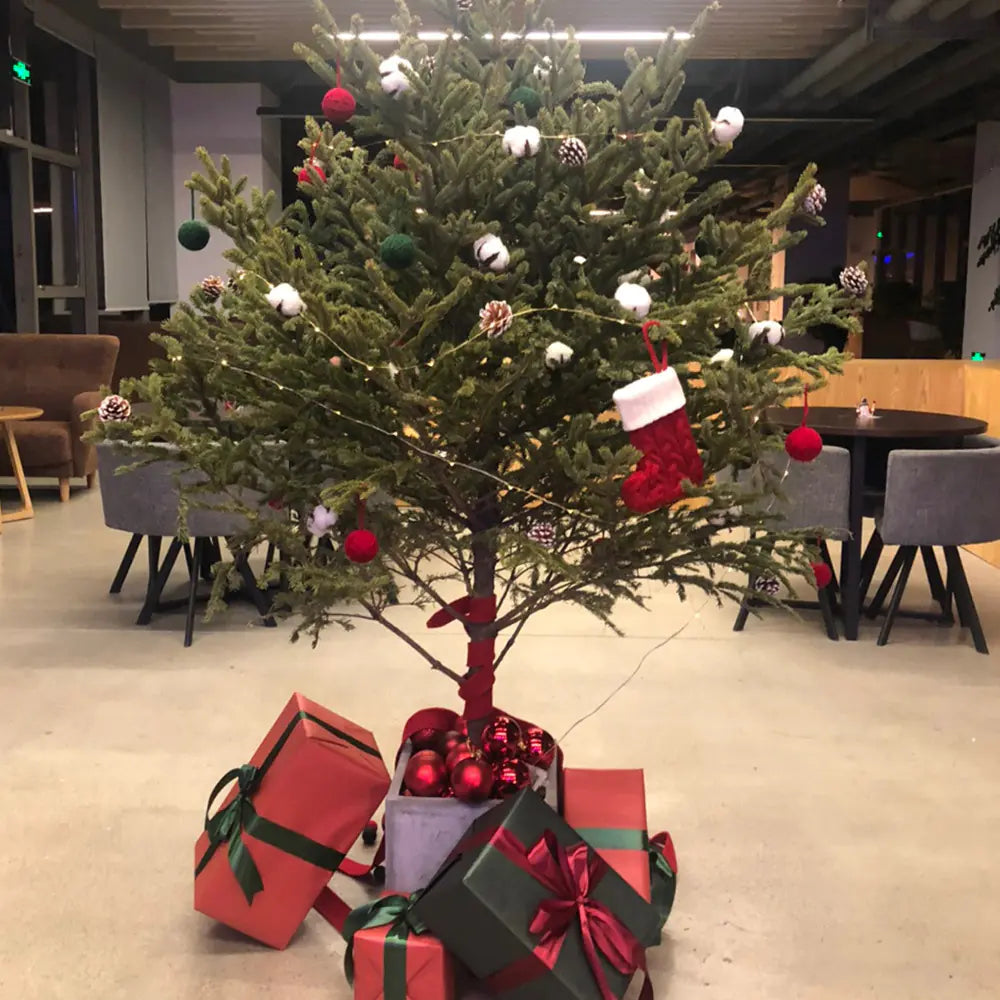 Festive Alphabet Knit Socks